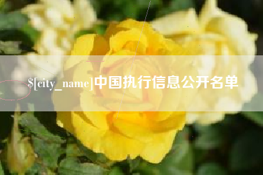 南宁中国执行信息公开名单