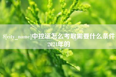 南宁中控证怎么考取需要什么条件2024年的