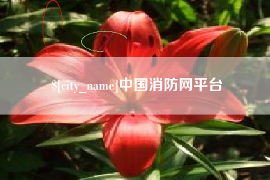 南宁中国消防网平台