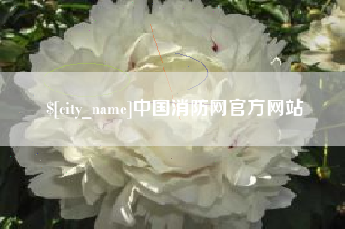 南宁中国消防网官方网站