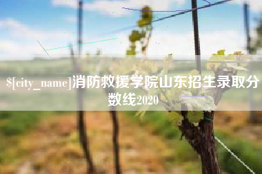 南宁消防救援学院山东招生录取分数线2020