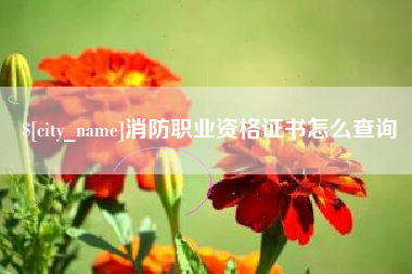 南宁消防职业资格证书怎么查询