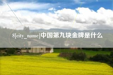 南宁中国第九块金牌是什么