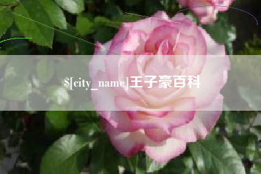 南宁王子豪百科