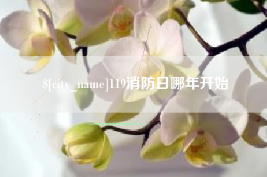 南宁119消防日哪年开始