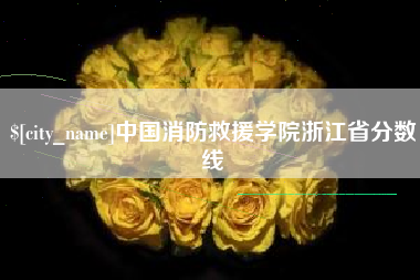 南宁中国消防救援学院浙江省分数线