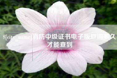 南宁消防中级证书电子版查询多久才能查到