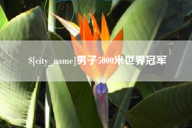 南宁男子5000米世界冠军