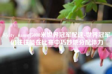 南宁5000米世界冠军配速-世界冠军们往往能在比赛中巧妙地分配体力