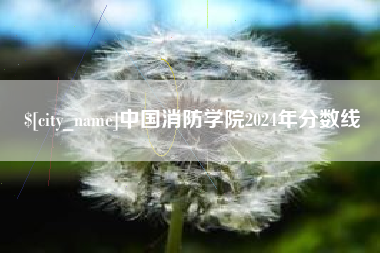 南宁中国消防学院2024年分数线