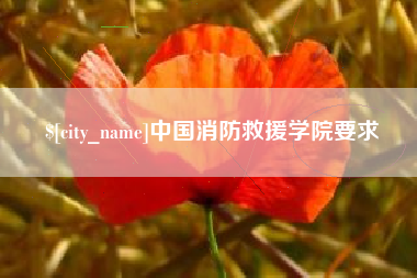 南宁中国消防救援学院要求