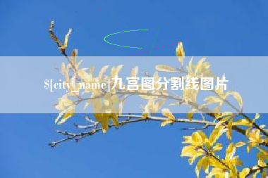 南宁九宫图分割线图片