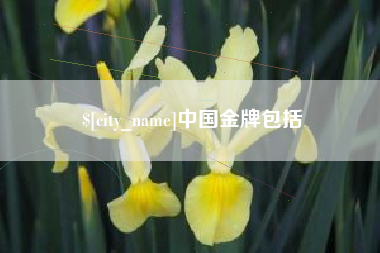 南宁中国金牌包括