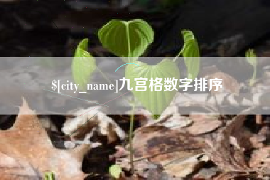南宁九宫格数字排序