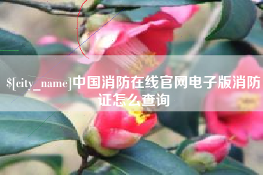 南宁中国消防在线官网电子版消防证怎么查询