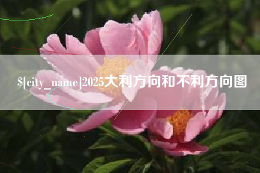 南宁2025大利方向和不利方向图