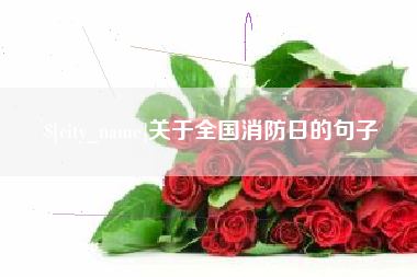 南宁关于全国消防日的句子