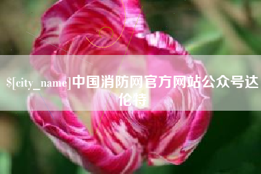南宁中国消防网官方网站公众号达伦特