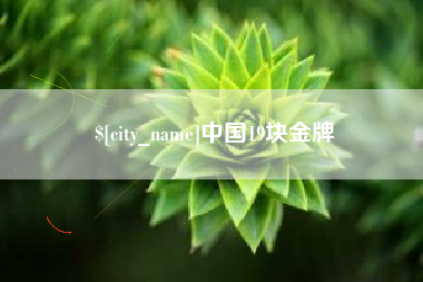 南宁中国19块金牌