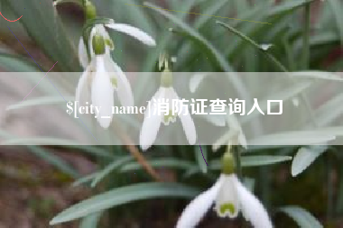 南宁消防证查询入口