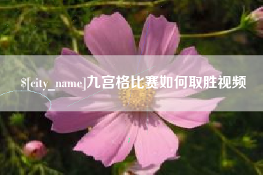 南宁九宫格比赛如何取胜视频