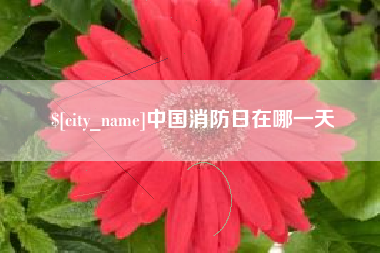 南宁中国消防日在哪一天