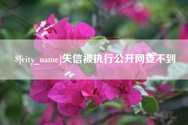 南宁失信被执行公开网查不到