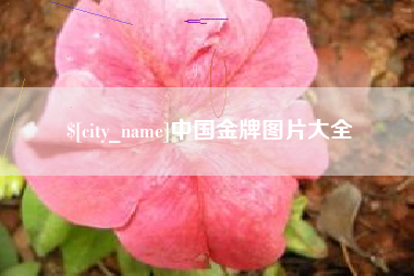 南宁中国金牌图片大全