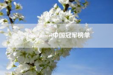 南宁中国冠军榜单