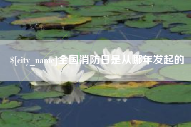 南宁全国消防日是从哪年发起的