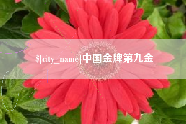 南宁中国金牌第九金