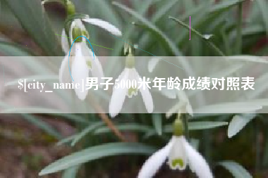 南宁男子5000米年龄成绩对照表