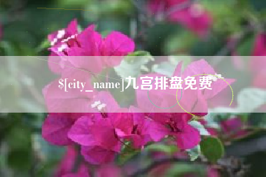 南宁九宫排盘免费