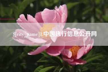 南宁1.中国执行信息公开网