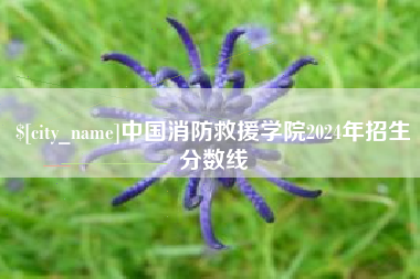 南宁中国消防救援学院2024年招生分数线