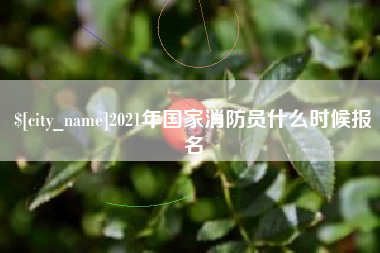 南宁2021年国家消防员什么时候报名
