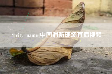 南宁中国消防现场直播视频