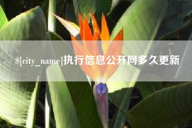 南宁执行信息公开网多久更新