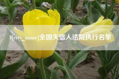 南宁全国失信人法院执行名单