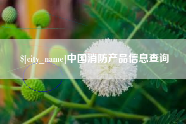 南宁中国消防产品信息查询