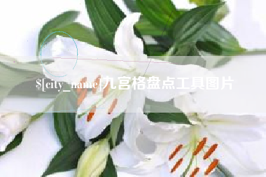 南宁九宫格盘点工具图片