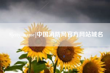 南宁中国消防网官方网站域名
