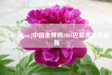 南宁中国金牌榜2024巴黎奥运会最新