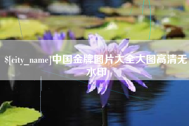 南宁中国金牌图片大全大图高清无水印