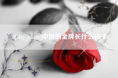 南宁中国的金牌长什么样子