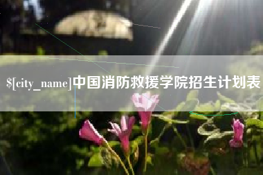 南宁中国消防救援学院招生计划表