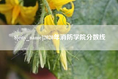 南宁2020年消防学院分数线