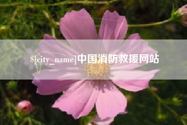 南宁中国消防救援网站