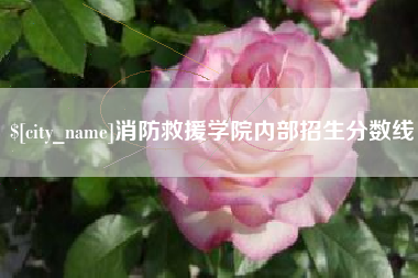南宁消防救援学院内部招生分数线