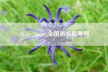 南宁全国消防招考网